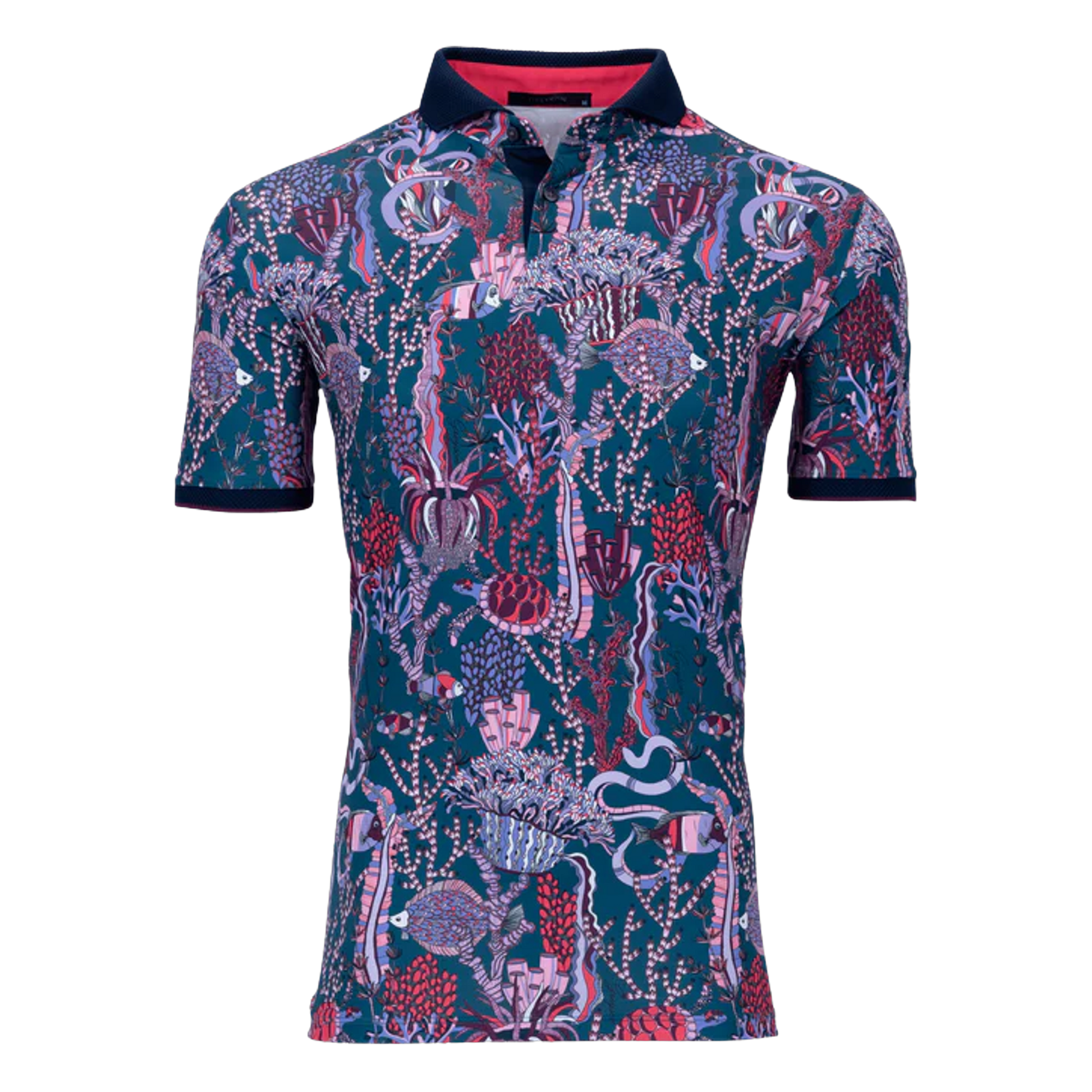 MSP24K16.Sea Turtle:2XL.TCP